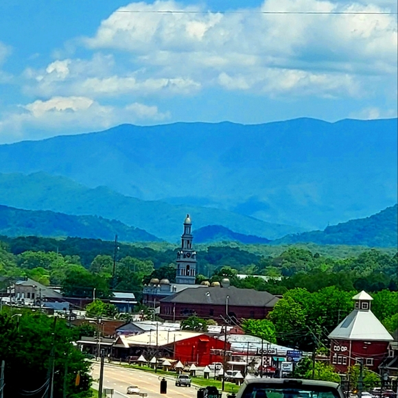 Meet your Posher, Stephanie - Picture 8 of 10